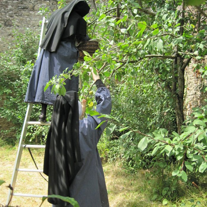 "Tu te nourriras du travail de tes mains" (Ps 127)