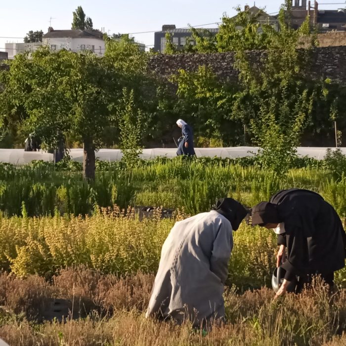 Travail au jardin l'été